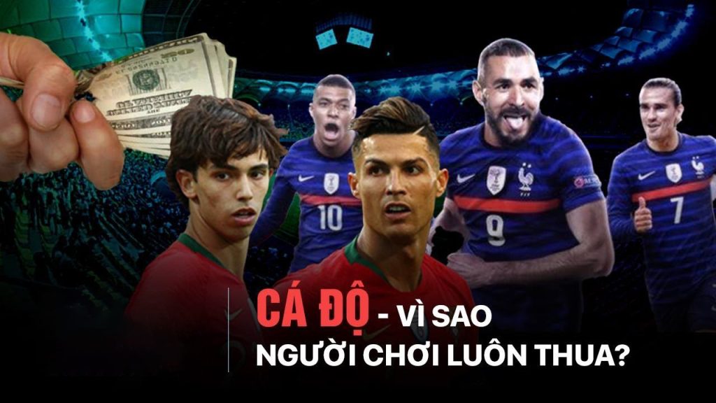 cá độ bóng đá